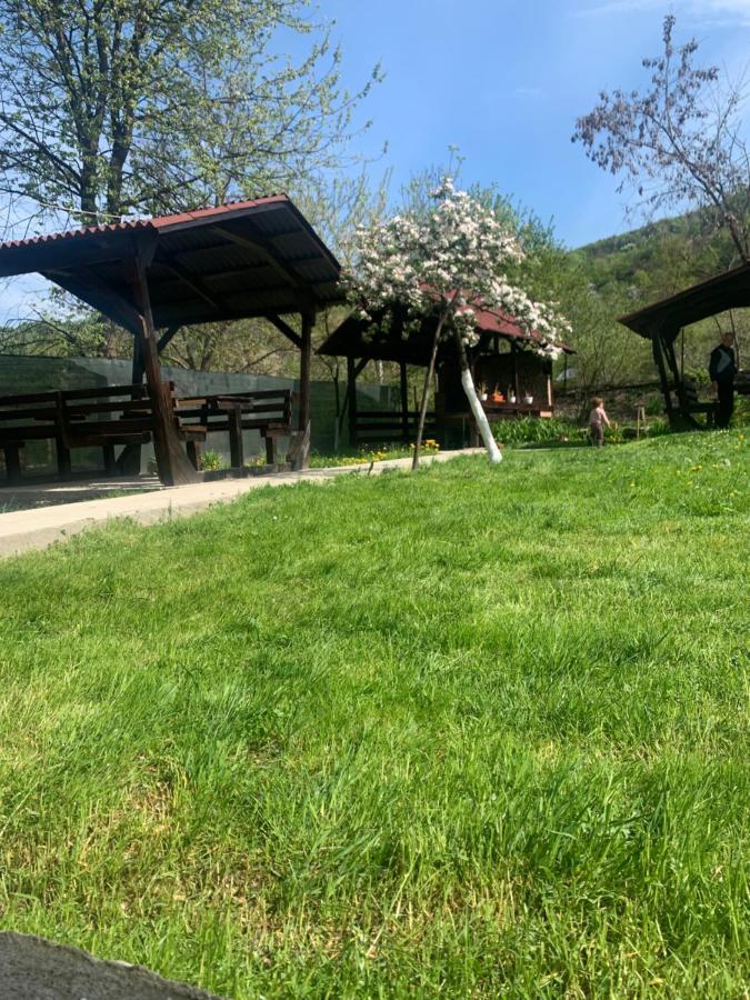 M Dey Hotel Felsővisó Kültér fotó