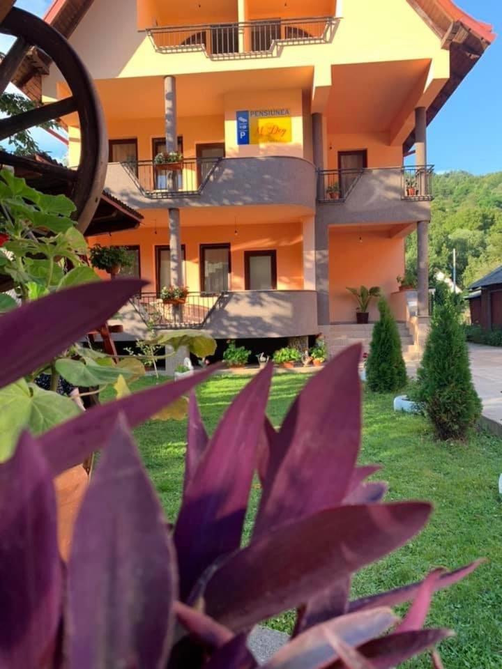 M Dey Hotel Felsővisó Kültér fotó